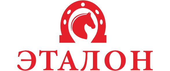 Эталон